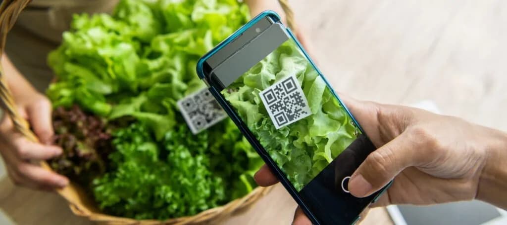 How creating transparency in the food & beverage supply chain promotes consumer trust
