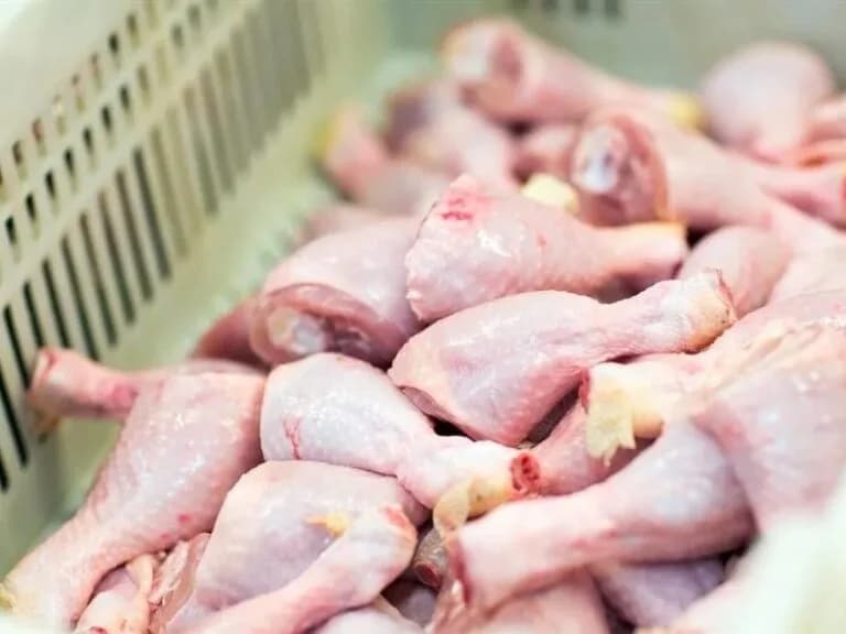 Poultry producer Astral Farms struggles to supply chicken meat due to power cuts