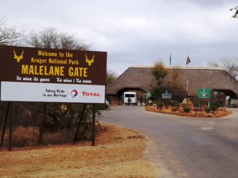 Kruger National Park reopens following devastating floods in Mpumalanga