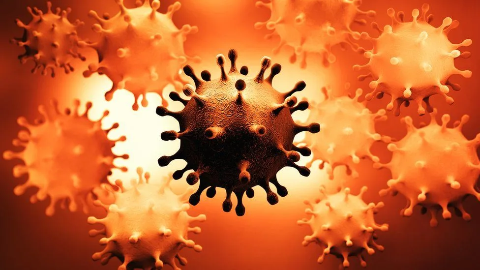 Covid: How worrying are the UK, South Africa, and Brazil coronavirus  variants? - BBC News