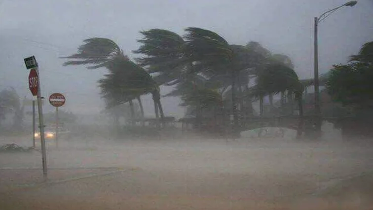 Parts of SA bracing for tropical cyclone Eloise - SABC News - Breaking  news, special reports, world, business, sport coverage of all South African  current events. Africa's news leader.