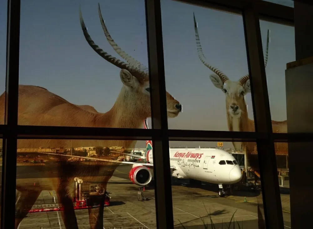 Kenya airways