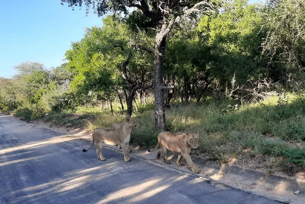 Photo: Johan Malan/SanParks
