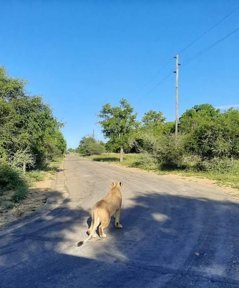 Photo: Johan Malan/SanParks